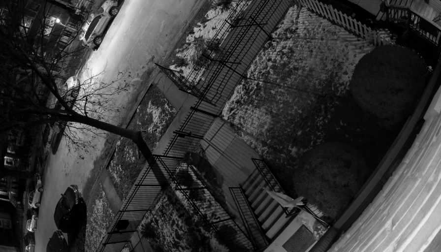 Reolink Camera Two_01_Reolink Home Hub One_20260123182753.jpg